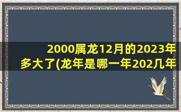 2000属龙12月的2023年多大了(龙年是哪一年202几年)