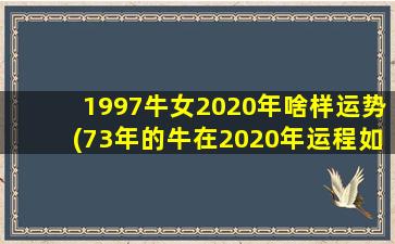 1997牛女2020年啥样运势(7