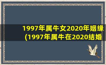 1997年属牛女2020年姻缘(1