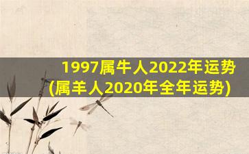 1997属牛人2022年运势(属羊人2020年全年运势)