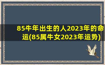 85牛年出生的人2023年的命运(85属牛女2023年运势)