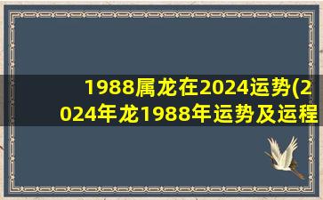 1988属龙在2024运势(2024年龙1988年运势及运程)