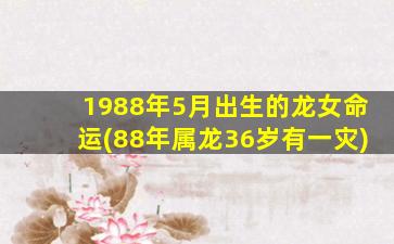 1988年5月出生的龙女命运(88年属龙36岁有一灾)