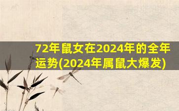 72年鼠女在2024年的全年运势(2024年属鼠大爆发)