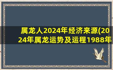 属龙人2024年经济来源(20