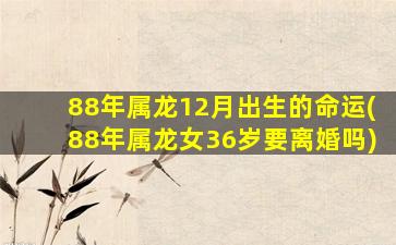 <strong>88年属龙12月出生的命运</strong>
