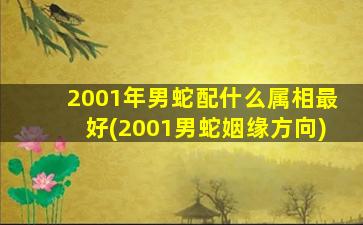 <strong>2001年男蛇配什么属相最</strong>