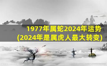 1977年属蛇2024年运势(2024年是属虎人最大转变)