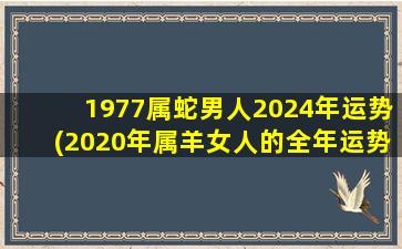 1977属蛇男人2024年运势(2