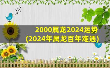 2000属龙2024运势(2024年属龙