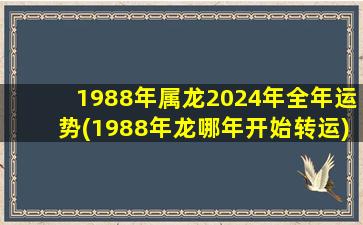 1988年属龙2024年全年运势(1988年龙哪年开始转运)
