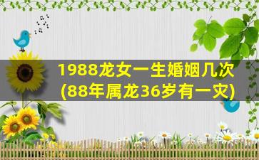 <strong>1988龙女一生婚姻几次(88年</strong>