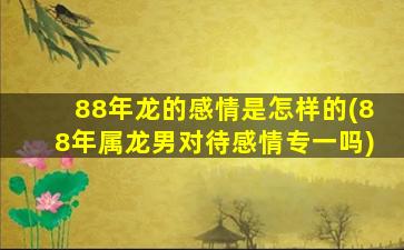 <strong>88年龙的感情是怎样的</strong>