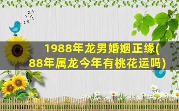 1988年龙男婚姻正缘(88年