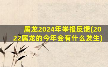 属龙2024年举报反馈(202