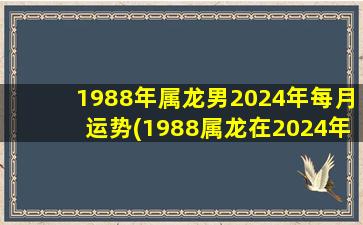 1988年属龙男2024年每月运势