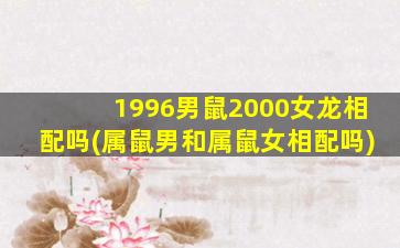 1996男鼠2000女龙相配吗(属