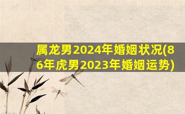 属龙男2024年婚姻状况(