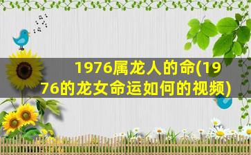 <strong>1976属龙人的命(1976的龙女</strong>