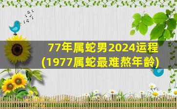 77年属蛇男2024运程(1977属
