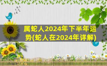 属蛇人2024年下半年运势(蛇人在2024年详解)