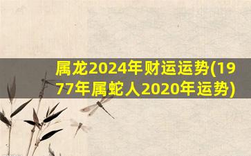 属龙2024年财运运势(197