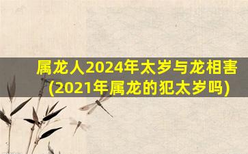 属龙人2024年太岁与龙相害(2021年属龙的犯太岁吗)