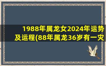 1988年属龙女2024年运势及运