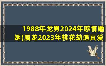 1988年龙男2024年感情婚姻(属龙2023年桃花劫遇真爱)