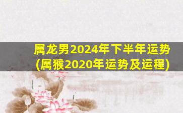 属龙男2024年下半年运势(属猴2020年运势及运程)