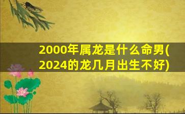 2000年属龙是什么命男(