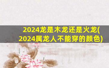 2024龙是木龙还是火龙(2024属龙人不能穿的颜色)