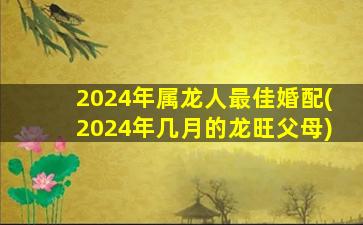 2024年属龙人最佳婚配(