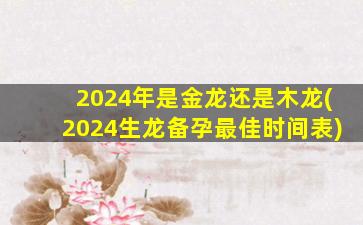 2024年是金龙还是木龙(2024生龙备孕最佳时间表)
