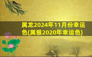 属龙2024年11月份幸运色(属猴2020年幸运色)