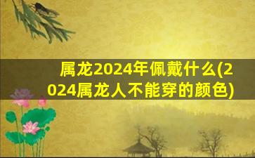 属龙2024年佩戴什么(202