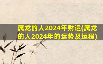 属龙的人2024年财运(属龙的人2024年的运势及运程)