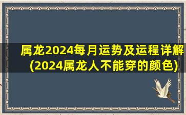 属龙2024每月运势及运程详解(2024属龙人不能穿的颜色)