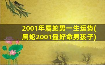 2001年属蛇男一生运势(属