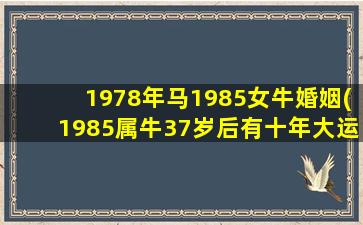<strong>1978年马1985女牛婚姻(19</strong>