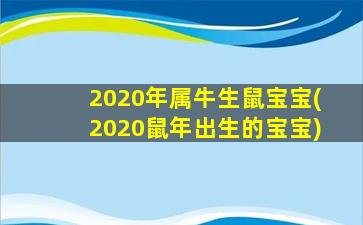 2020年属牛生鼠宝宝(202