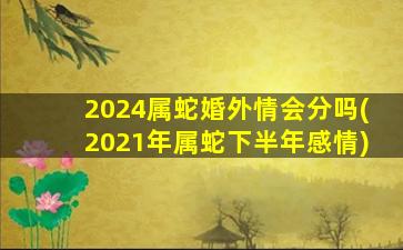 2024属蛇婚外情会分吗(