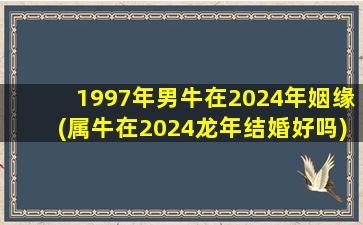 1997年男牛在2024年姻缘(属牛在2024龙年结婚好吗)