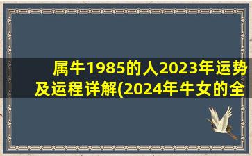 属牛1985的人2023年运势及运程详解(2024年牛女的全年运势)