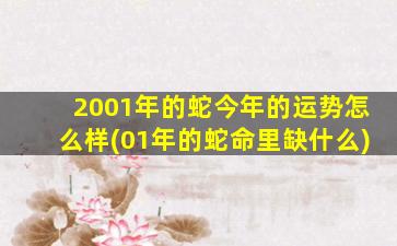 <strong>2001年的蛇今年的运势怎</strong>