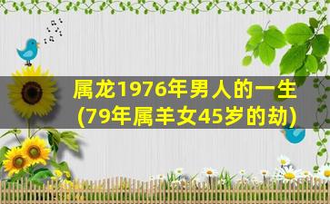 <strong>属龙1976年男人的一生(</strong>