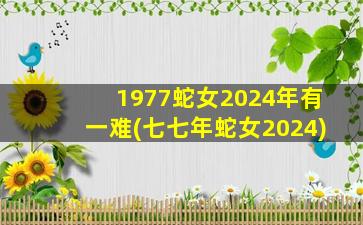 1977蛇女2024年有一难(七七