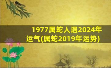 1977属蛇人遇2024年运气(属蛇2019年运势)