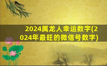 2024属龙人幸运数字(2024年最旺的微信号数字)