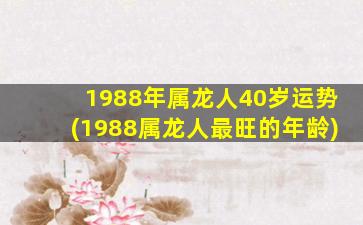 1988年属龙人40岁运势(1